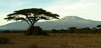 Mt. Kilimanjaro Group Trek - Machame 8 Day Route