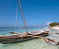Zanzibar to Joburg Adventure
