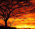 Usambara Mountain Cultural Trek