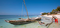 Zanzibar to Joburg Overland