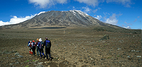 Mt. Kilimanjaro Private Trek - Lemosho Route
