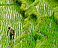 Colours of AsiaSingapore to Bangkok
