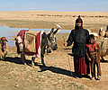 Syrian Caravan