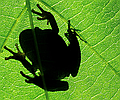 National Parks of Costa Rica