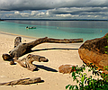 Panama Experience