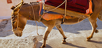 Greek Islands Sailing Adventure (Kos to Mykonos)