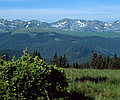 Trek the Carpathians