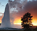 Yellowstone Active Escape