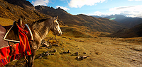 Inca Heartland