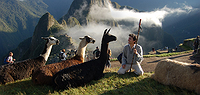Absolute Peru