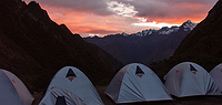 Inca Discovery Plus