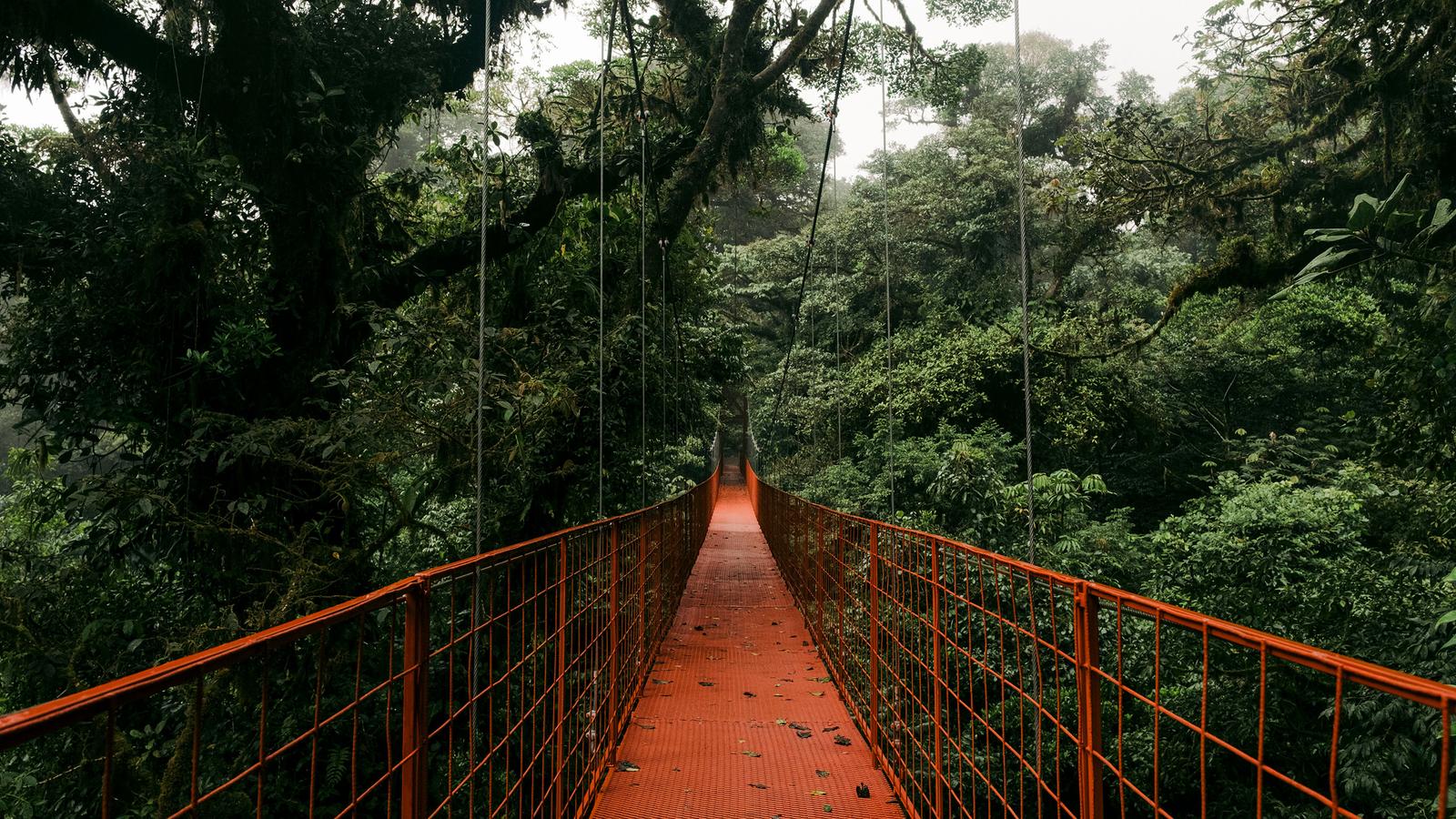 Signature: Costa Rica's Tortuguero, Arenal & Cloud Forests