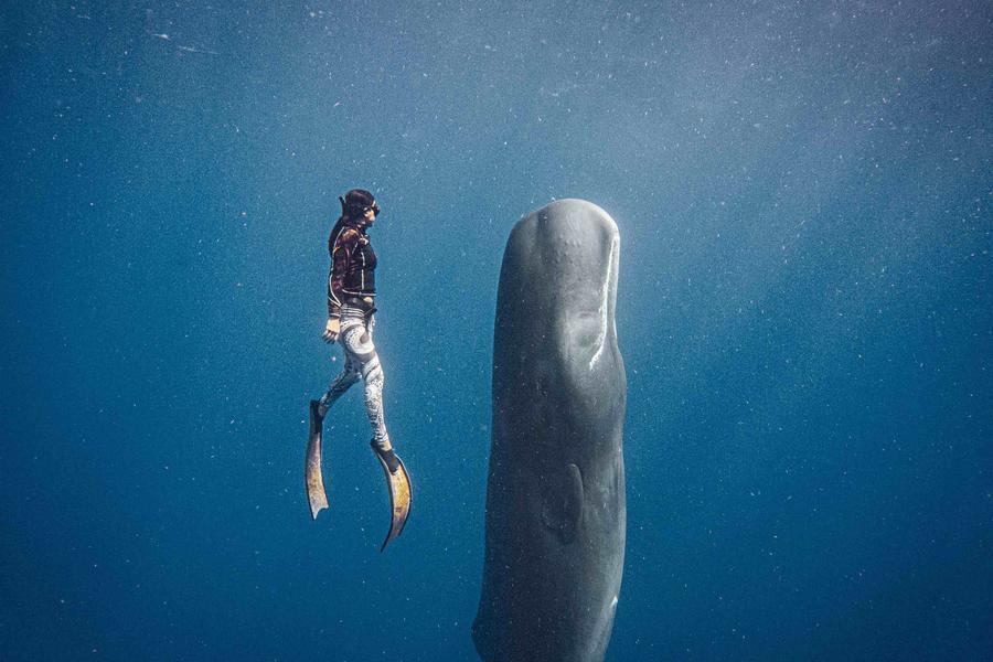 Discover why our brand-new destination Dominica is the Caribbean’s best-kept secret for hikers, divers, adventure seekers, and untamed nature lovers
