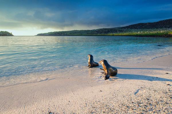 From California to the Galápagos, Reginald Ramirez proves 18-to-Thirtysomethings travel isn’t just for the young.
