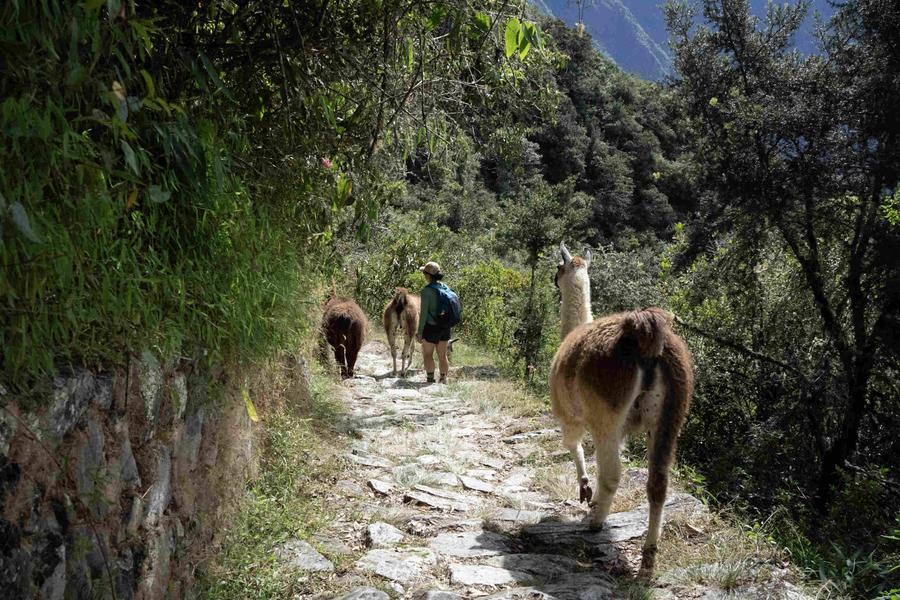 From discovering wild mint near Machu Picchu, to indulging in Pachamanca feasts, a photographer shares her takeaways from a trip to Peru