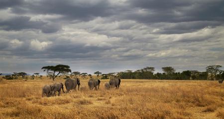 Masai & Tanzania Camping Safari
