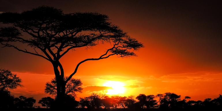 Nairobi to Zanzibar: Serengeti & Sunsets