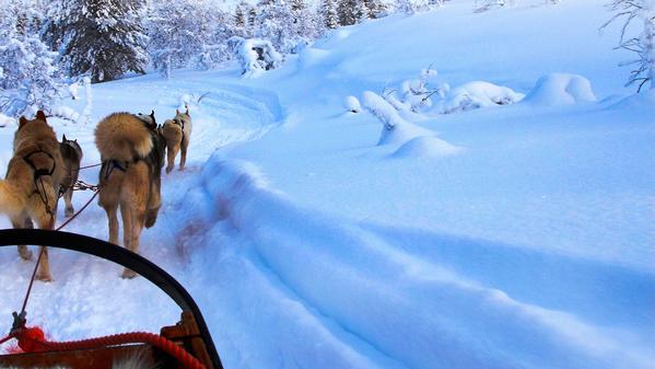 Think winter puts a limit on adventure? Travel blogger Becki Enright begs to differ with these adrenalin-inducing activities in Northern Europe.