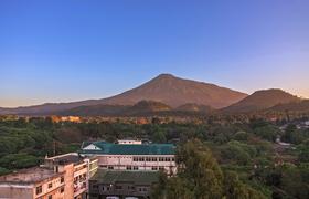 What to do between exploring national parks, scaling mountains and spotting the "big five"