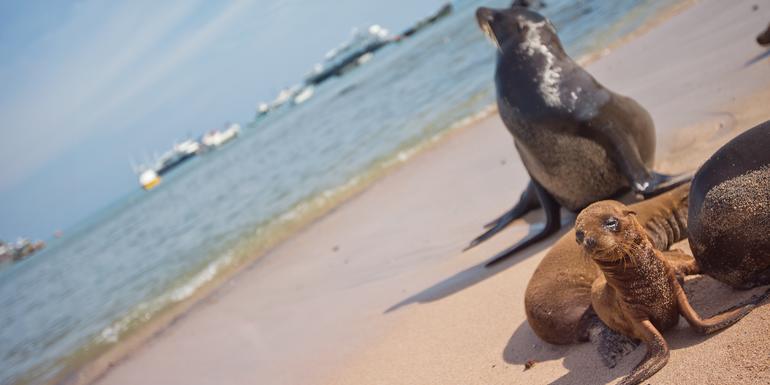 tourhub | G Adventures | Upgraded Land Galapagos with Quito 