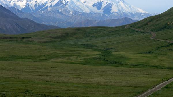 G Adventures’ own Elyse Shane finds that although nature in Alaska comes in all shapes and sizes, it’s sure to leave its mark.
