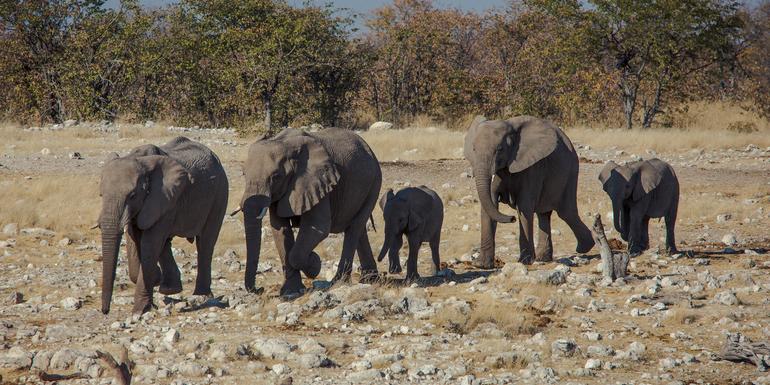 tourhub | G Adventures | Delta & Falls Westbound: Natural Wonders & Wildlife 