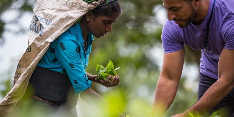 Discover Sri Lanka