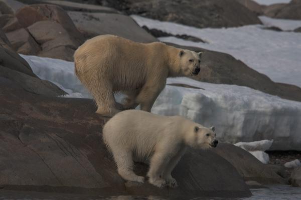 This Earth Month, we're introducing you to some of the planet's coolest non-human inhabitants