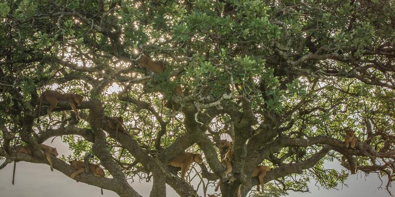 Nairobi to Joburg Overland: Craters & Camping tourhub | G Adventures | Nairobi to Joburg Overland: Craters & Camping