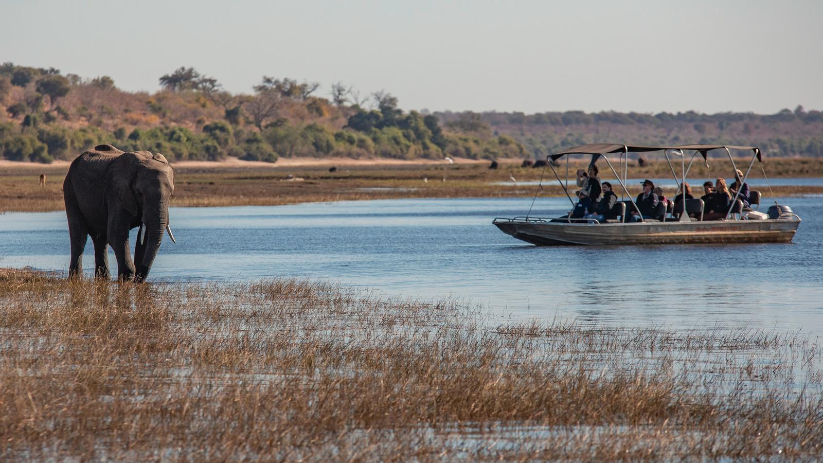 Zimbabwe & Botswana: Chobe, Hwange & Lake Kariba