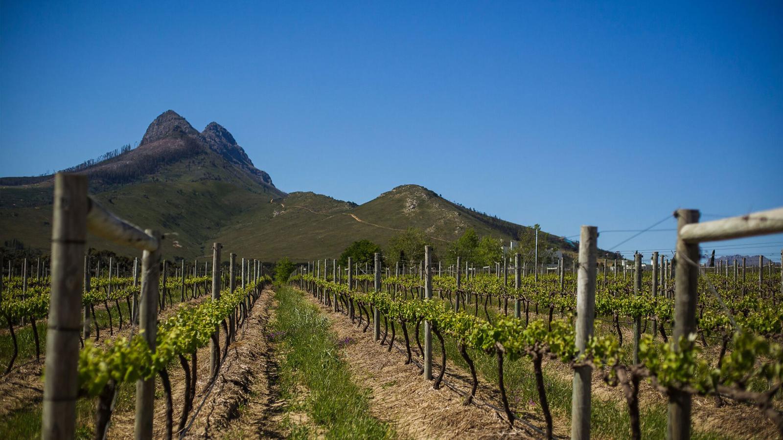 Ultimate South Africa