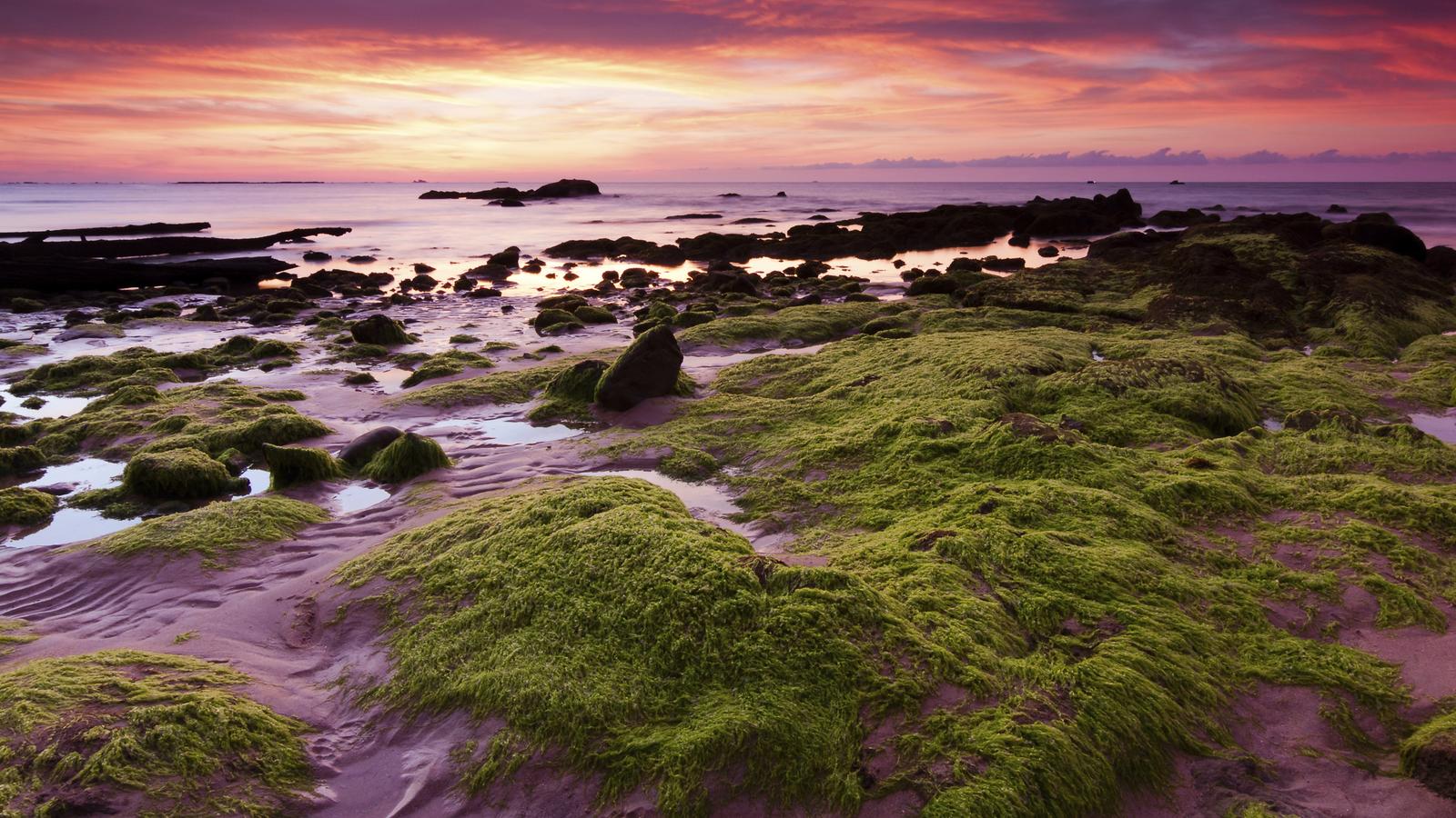 Sun setting on a beach in Borneo