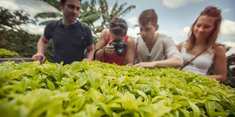 Colombia Express tourhub | G Adventures | Colombia Express
