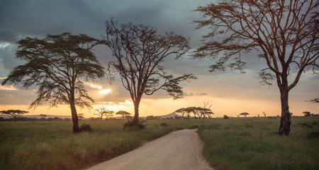 Upgraded East Africa Safari