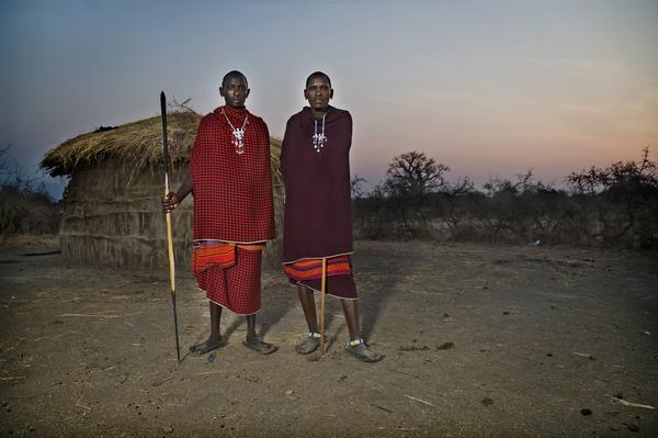 An introduction to the Berbers, Maasai, and Mongols