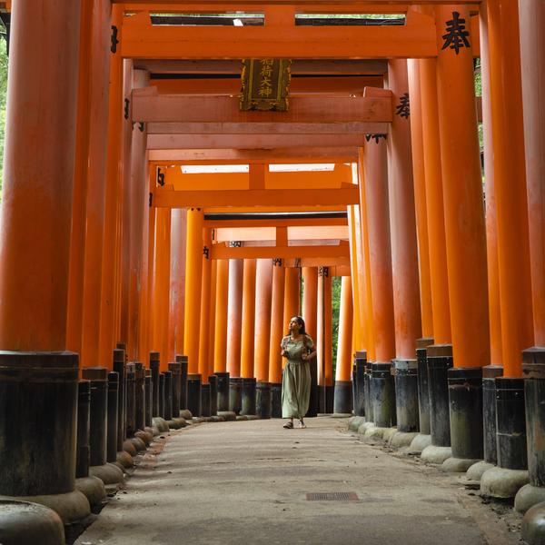 tourhub | G Adventures | Japan: Kyoto, Tokyo & the Michinoku Coastal Trail 