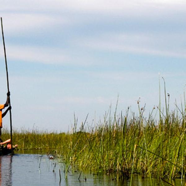 Botswana & Vic Falls Safari