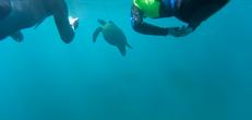 Galapagos Multi-Activities with Quito