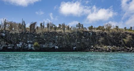 Galápagos — South & East Islands aboard the Yolita