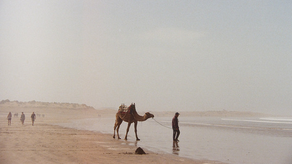 Solo traveller Nicole Todd captures the highlights of Morocco on 35mm film