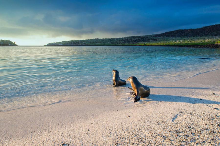 From California to the Galápagos, Reginald Ramirez proves 18-to-Thirtysomethings travel isn’t just for the young.
