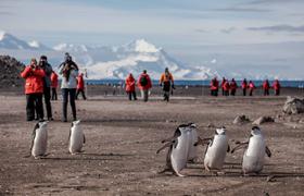 Discover seven incredible ways to experience the raw, untamed power of Antarctica — the so-called ‘Frozen Continent’