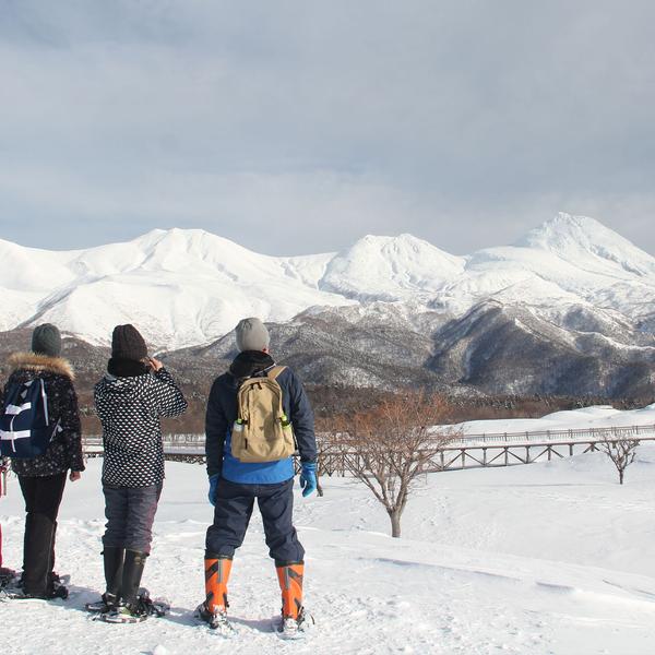 Active Japan: Hokkaido in Winter, Sea Ice to Onsens