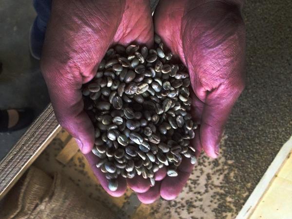 The roots of the beverage reveal why it's so much more than a morning pick-me-up
