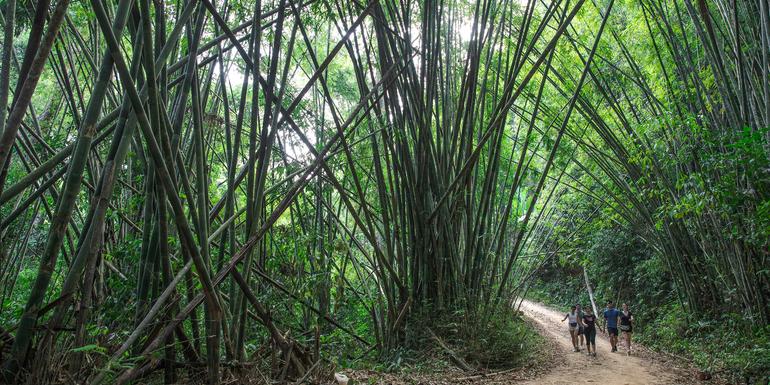 Laos to Northern Thailand: Treks & Trails