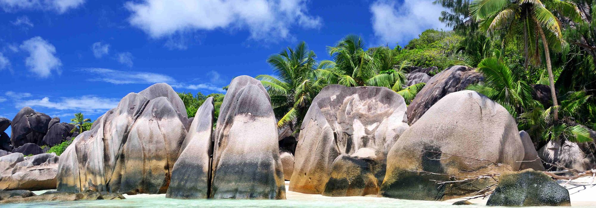 Discover why our brand-new destination, the Seychelles, is the ultimate secret for hikers, divers, and untamed nature lovers