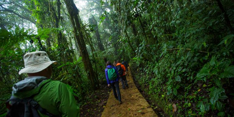 Costa Rica-Monteverde und La Fortuna
