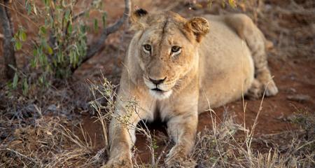 Southern Africa Adventure