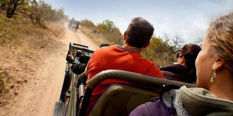 Explore Kruger & Victoria Falls