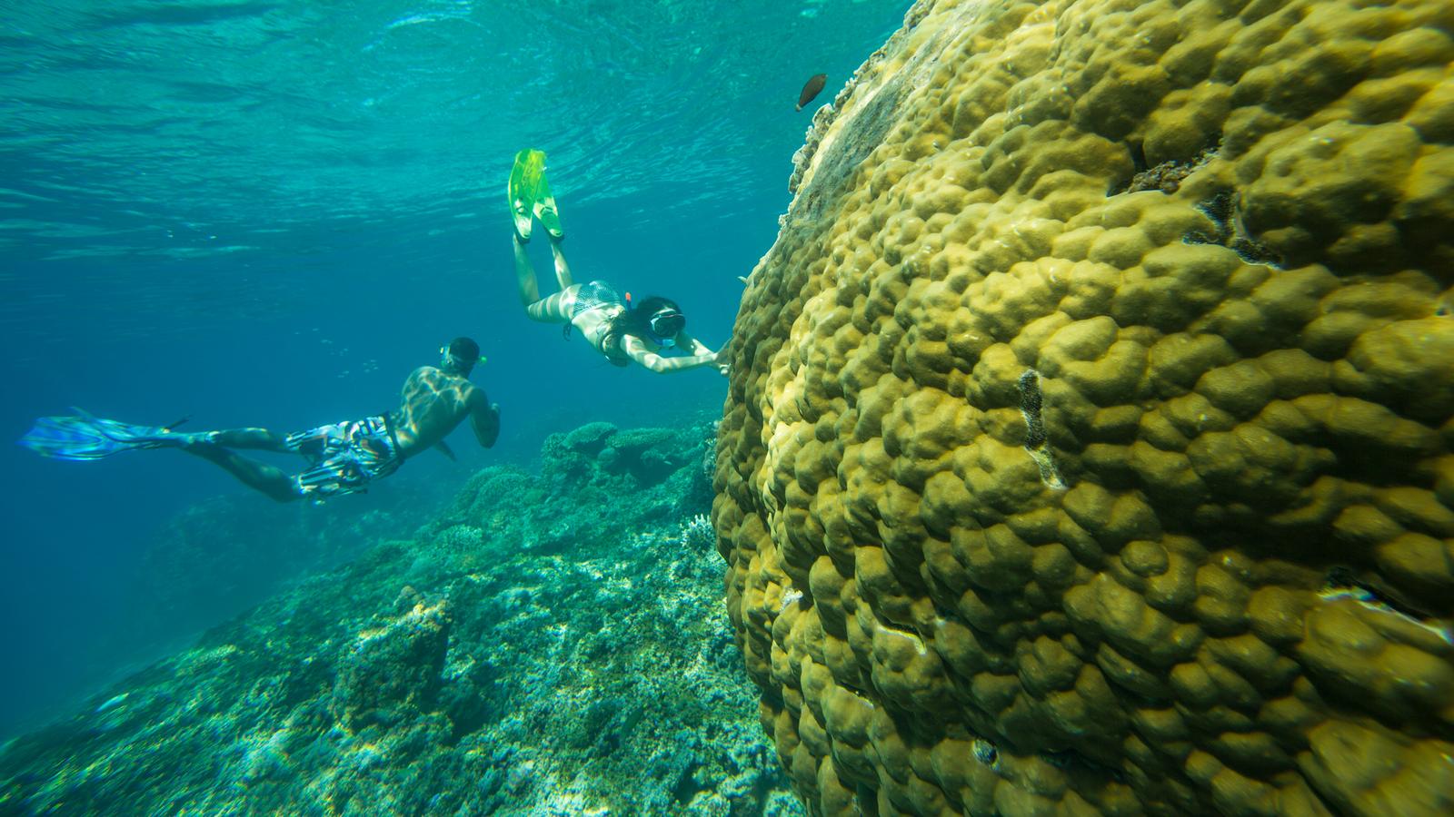 Travellers snorkling in Meno Island